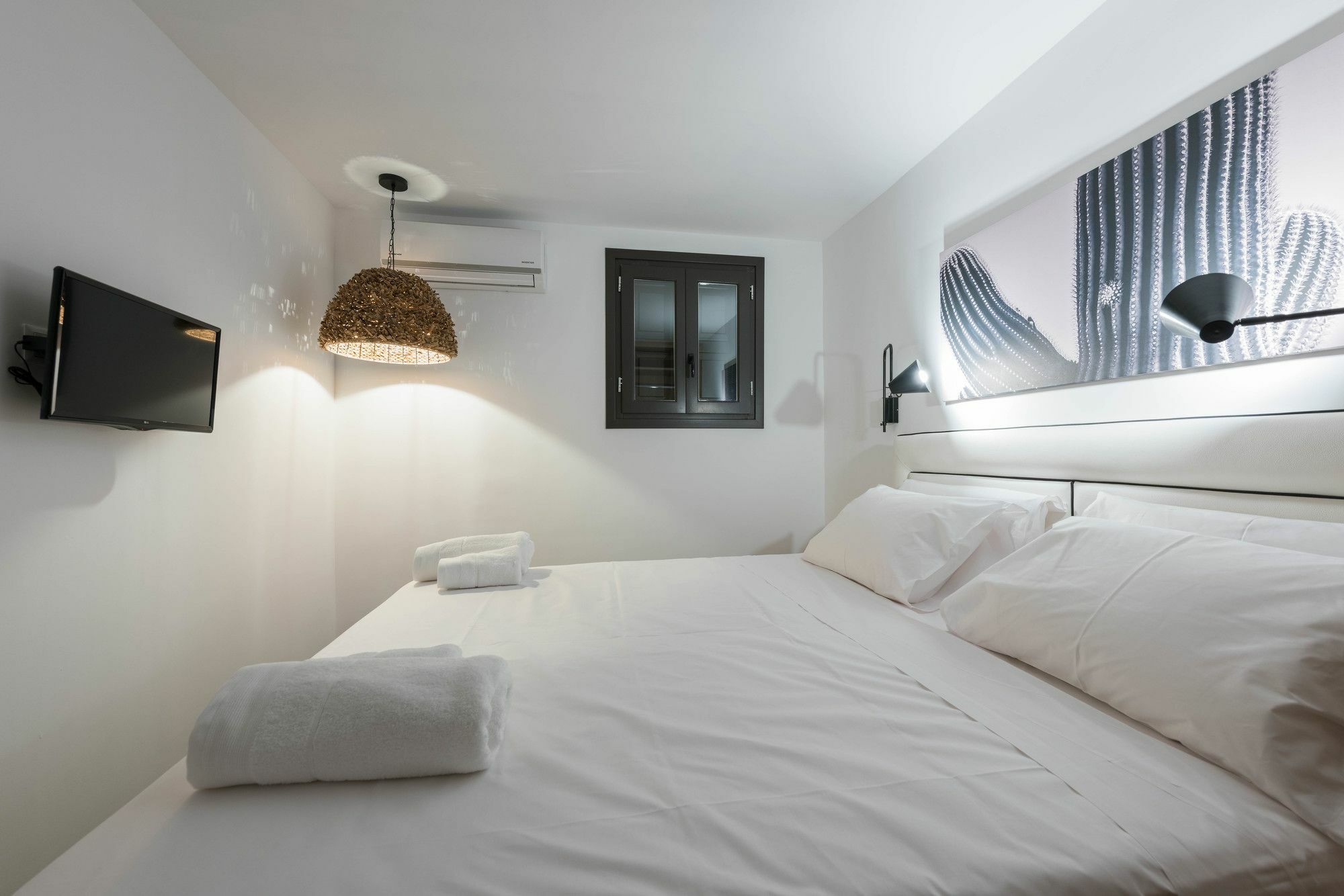 Black Cactus Apartment