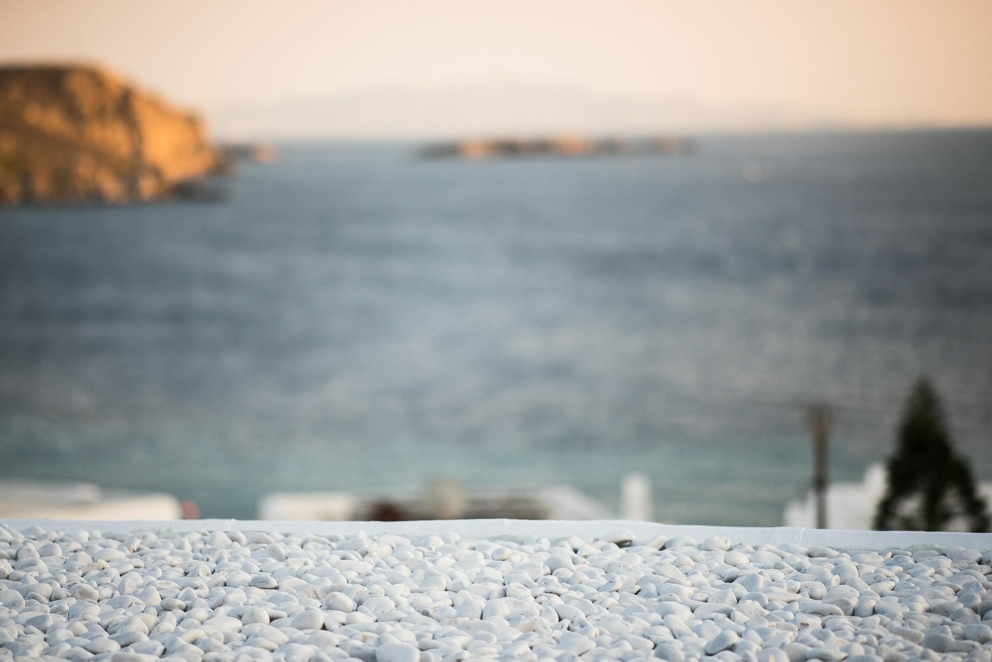 Black Cactus Apartment Agios Ioannis Diakoftis