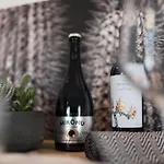 Black Cactus