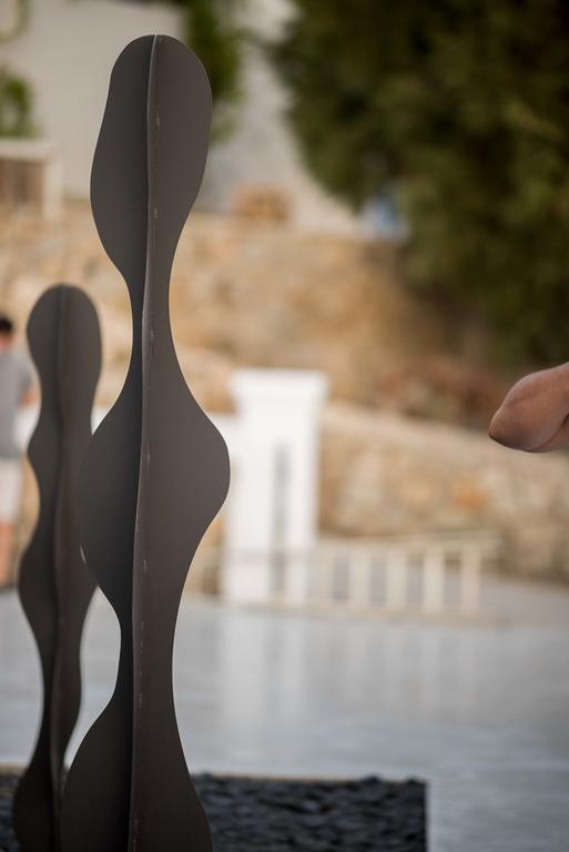 Black Cactus Apartment Agios Ioannis Diakoftis