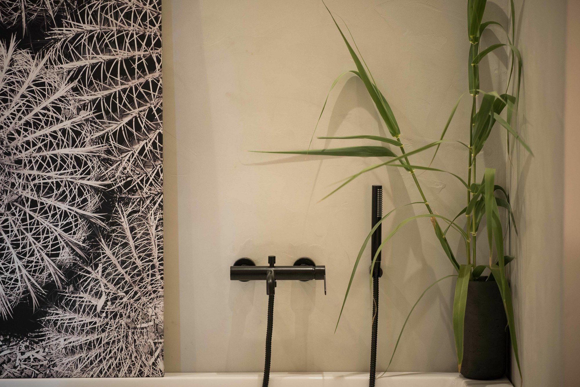 Apartment Black Cactus